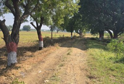 वनराई बंधारा